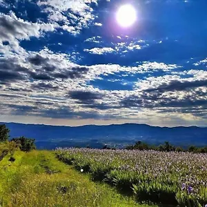 Casa Chianti , Mercatale Val Di Pesa Italia